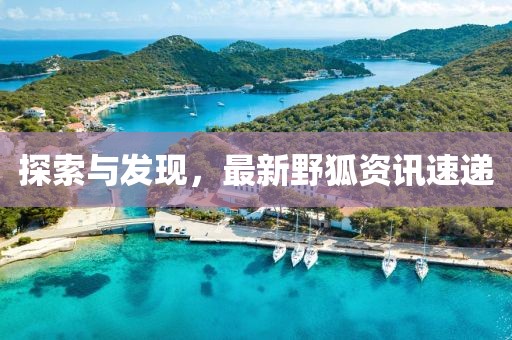 探索与发现，最新野狐资讯速递