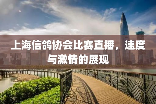 上海信鸽协会比赛直播，速度与激情的展现