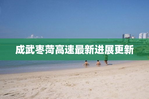 成武枣菏高速最新进展更新