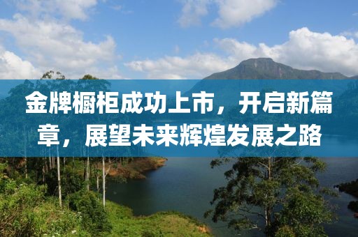 金牌橱柜成功上市，开启新篇章，展望未来辉煌发展之路