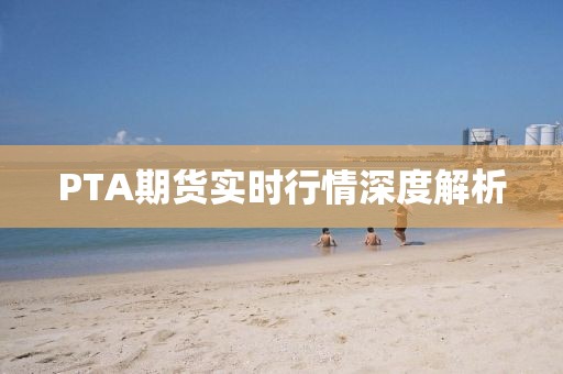 PTA期货实时行情深度解析