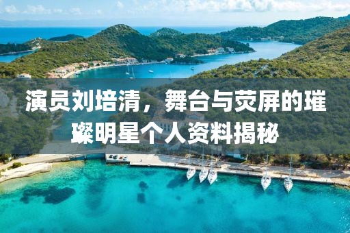 演员刘培清，舞台与荧屏的璀璨明星个人资料揭秘