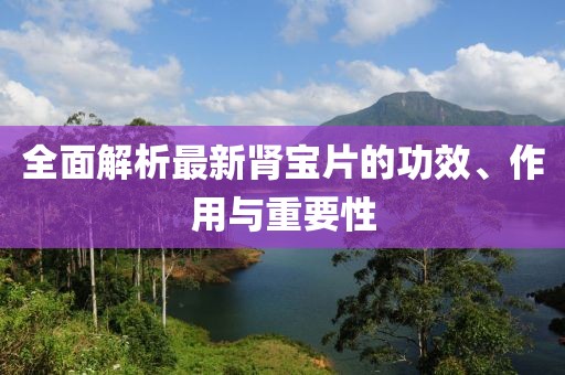 全面解析最新肾宝片的功效、作用与重要性