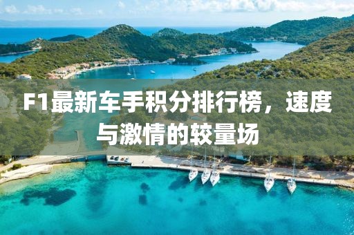 F1最新车手积分排行榜，速度与激情的较量场