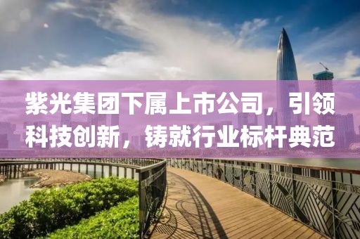 紫光集团下属上市公司，引领科技创新，铸就行业标杆典范