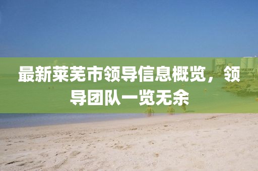 最新莱芜市领导信息概览，领导团队一览无余
