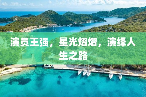 演员王强，星光熠熠，演绎人生之路