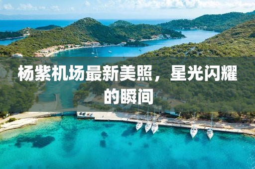 杨紫机场最新美照，星光闪耀的瞬间