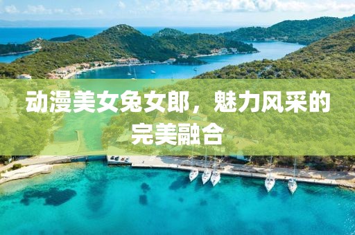 动漫美女兔女郎，魅力风采的完美融合
