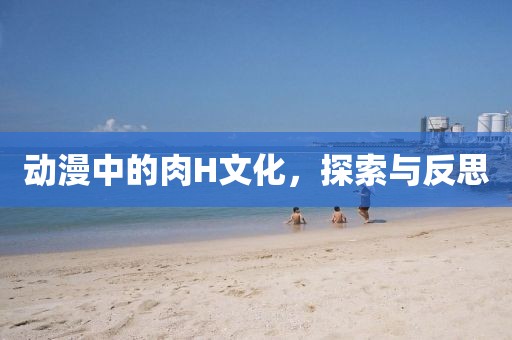 动漫中的肉H文化，探索与反思