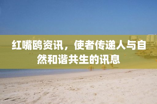 红嘴鸥资讯，使者传递人与自然和谐共生的讯息