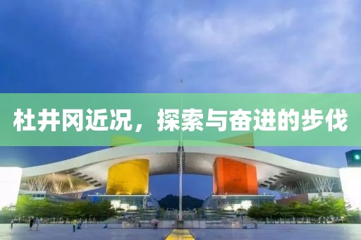 杜井冈近况，探索与奋进的步伐