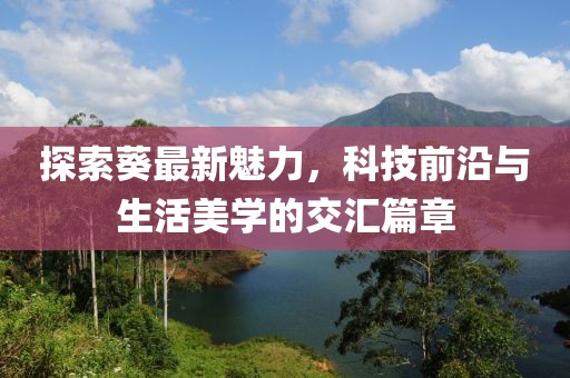 探索葵最新魅力，科技前沿与生活美学的交汇篇章
