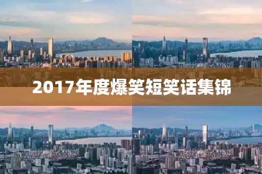2017年度爆笑短笑话集锦