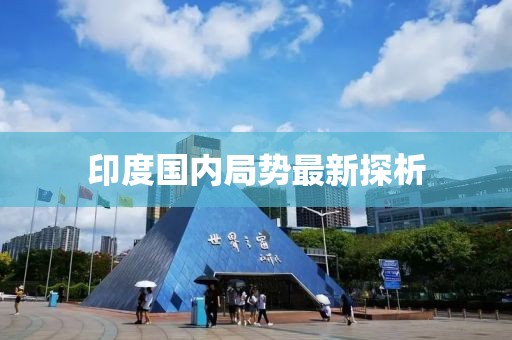 印度国内局势最新探析