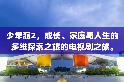 少年派2，成长、家庭与人生的多维探索之旅的电视剧之旅。