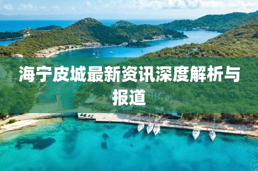 海宁皮城最新资讯深度解析与报道