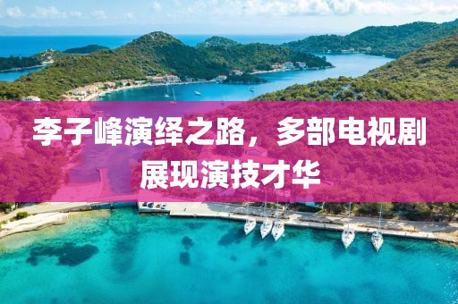 李子峰演绎之路，多部电视剧展现演技才华