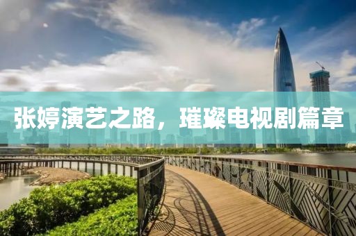 张婷演艺之路，璀璨电视剧篇章