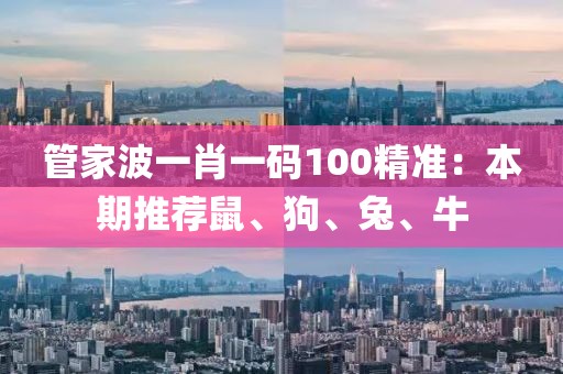 管家波一肖一码100精准：本期推荐鼠、狗、兔、牛