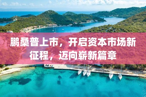鹏桑普上市，开启资本市场新征程，迈向崭新篇章
