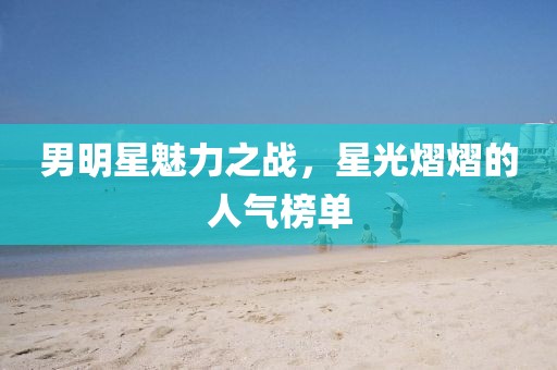 男明星魅力之战，星光熠熠的人气榜单