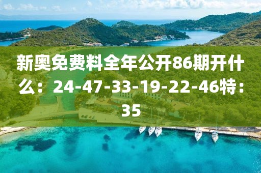 新奥免费料全年公开86期开什么：24-47-33-19-22-46特：35