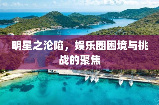明星之沦陷，娱乐圈困境与挑战的聚焦