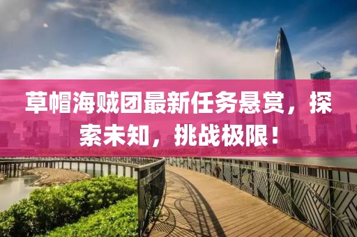 草帽海贼团最新任务悬赏，探索未知，挑战极限！