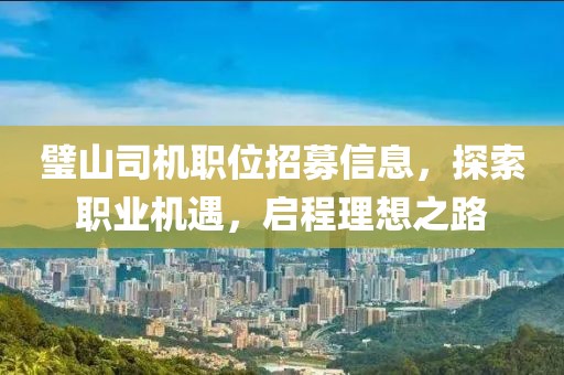 璧山司机职位招募信息，探索职业机遇，启程理想之路