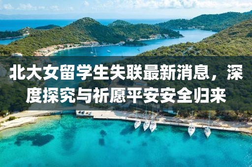 北大女留学生失联最新消息，深度探究与祈愿平安安全归来