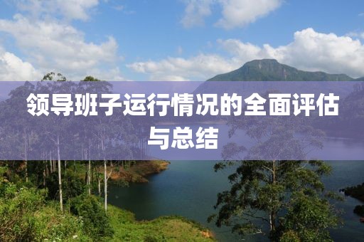领导班子运行情况的全面评估与总结
