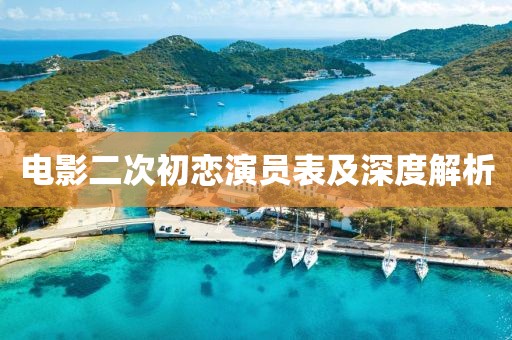 电影二次初恋演员表及深度解析