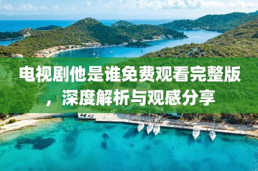 电视剧他是谁免费观看完整版，深度解析与观感分享