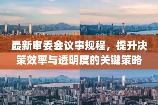 最新审委会议事规程，提升决策效率与透明度的关键策略