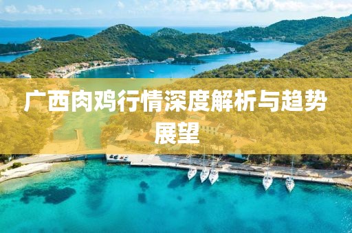 广西肉鸡行情深度解析与趋势展望