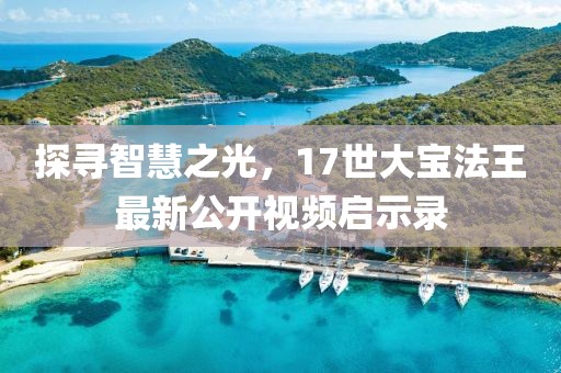 探寻智慧之光，17世大宝法王最新公开视频启示录