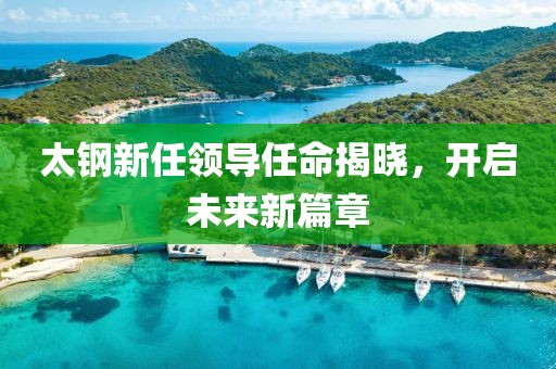 太钢新任领导任命揭晓，开启未来新篇章