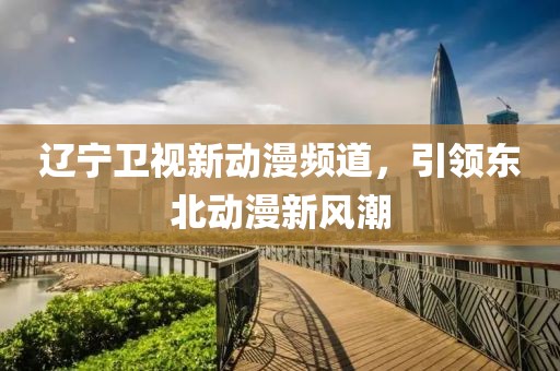 辽宁卫视新动漫频道，引领东北动漫新风潮