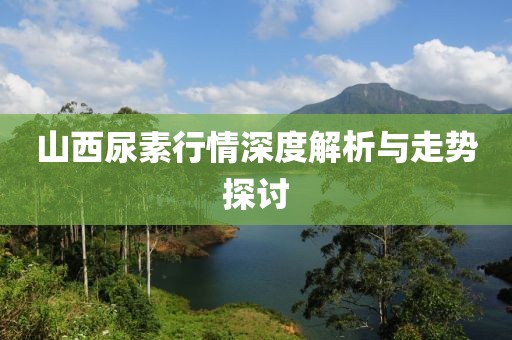 山西尿素行情深度解析与走势探讨