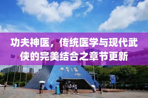 功夫神医，传统医学与现代武侠的完美结合之章节更新