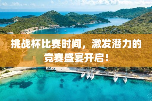 挑战杯比赛时间，激发潜力的竞赛盛宴开启！