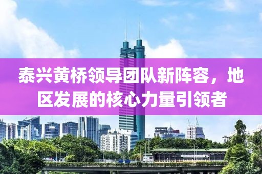 泰兴黄桥领导团队新阵容，地区发展的核心力量引领者