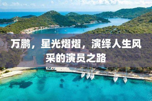 万鹏，星光熠熠，演绎人生风采的演员之路