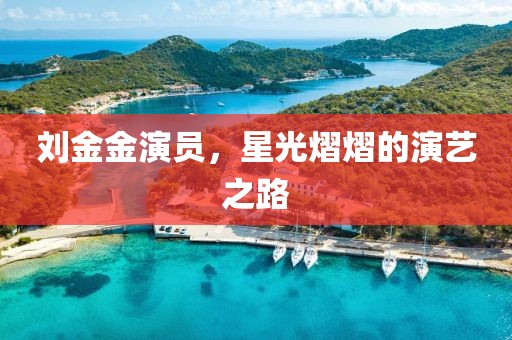 刘金金演员，星光熠熠的演艺之路