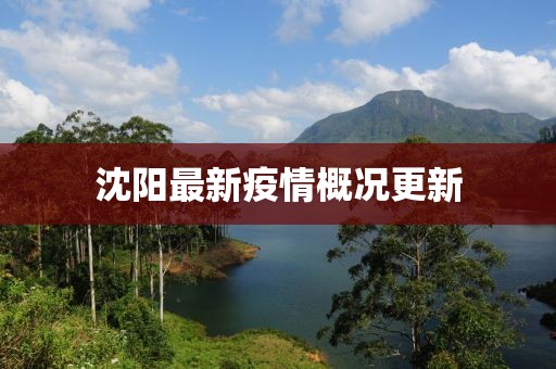 沈阳最新疫情概况更新