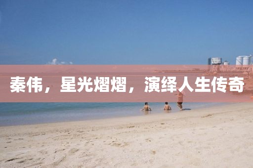 秦伟，星光熠熠，演绎人生传奇