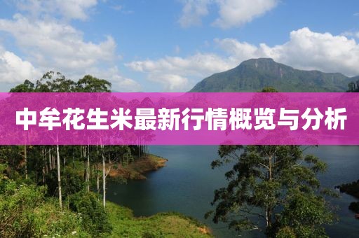 中牟花生米最新行情概览与分析