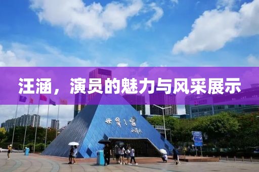 汪涵，演员的魅力与风采展示