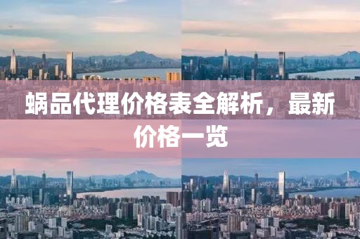 蜗品代理价格表全解析，最新价格一览